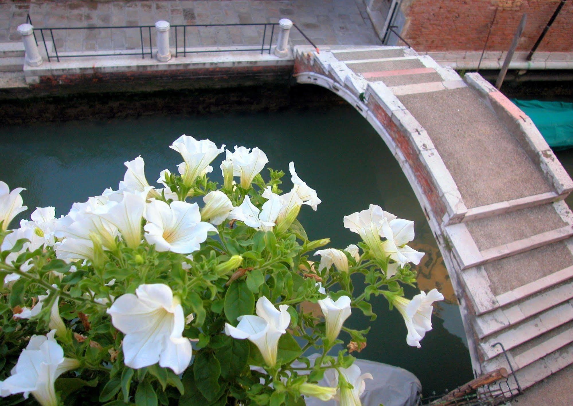 3749 Pontechiodo Bed & Breakfast เวนิส ภายนอก รูปภาพ